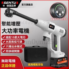 台灣公司貨 無線鋰電洗車機 高壓洗車水槍 家用便攜車載洗車機 花園清洗機, ST3000尊享套 15C電芯 無刷永磁,2個電池+航空包+10米管+折疊水桶