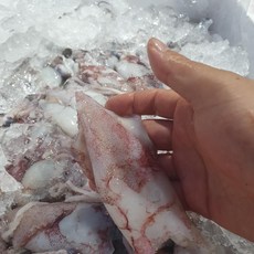 쫄깃하고 담백한 국내산 급냉 한치, 500g x 1박스