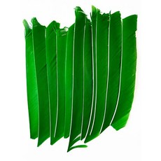 18-25CM 양궁 Fletching 화살 깃털 여러 가지 빛깔의 전체 길이 컷 없음 진짜 칠면조 DIY 샤프트 50 개, 04 green, 1개