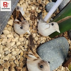 교육용 모형 인체모형 뼈모형 해골 척추 골격 치아 관절 병원 디스플레이용, 1개, 상세페이지 참조