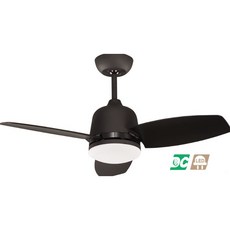 （修一）穩帝士 吊扇36吋 白 DC吊扇 dc直流變頻 吊扇燈 LED 16瓦 22w 遙控 台灣製造, 平光黑,白光