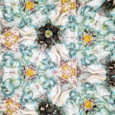 LiSA Aimer 에메 오디오 CD 앨범 태양이 오르지 않는 세계 - 통상판 포스터 첨부 일본 발송, LiSA Aimer 에메 오디오 CD 앨범 태양이 오르