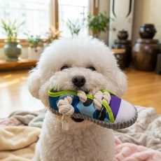 강아지 면끈 스니커즈 삑삑이 캔버스 치발기 씹는 장난감(훈련/놀이), 1개, 회색