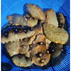 자연산해삼1세트(500g), 1개