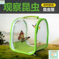 本町萌寵 台灣出貨 昆蟲觀察籠蝶蛹蠶寶寶蝴蝶籠戶外便攜式手提透明可折疊昆蟲籠, 1個, NFF-97 小：20*20*20cm,綠色