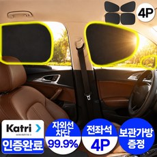 더쎈 1초부착 차량 햇빛가리개 자외선차단 정전식 암막커튼 전좌석 4P, 1개, 블랙