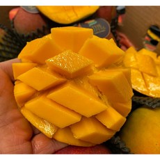 [재구매율1위]항공직송 프리미엄 초고당도 애플망고, 1박스, 2kg