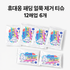 휴대용 패딩 얼룩 제거 물티슈 흰옷 빨래 드라이 세탁티슈 기름얼룩 김치국물 커피얼룩 클렌징티슈, 6개, 12매입