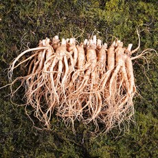 금산인삼 수삼 난발삼소 무료세척 1채 750g 18~22뿌리, 무료세척(약50g감량), 1개