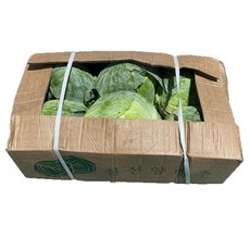 [15kg 6통] 수입양배추 특대사이즈 신선 대용량 업소용 중국산 식자재