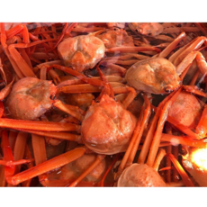 후포리박달홍게 당일조업 산지직송 제철음식 수율 80~90% 1.5kg내외. 1.75kg내외 3kg내외. 3.5kg내외, 1박스, 박달홍게3kg내외(8~10미)