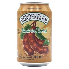 원더팜 타마린드 주스, 310ml, 1개