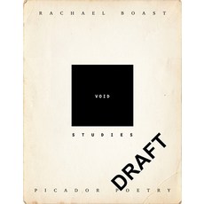 (영문도서) Void Studies Paperback, Picador USA, English, 9781509811458