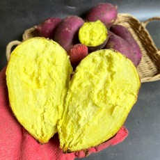 [정동원고구마] 전라도 밤고구마 해남 영암 무안, 1개, 3kg 한입(20~50g)