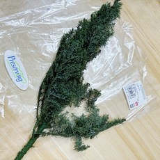 大地農園 Earth matters 永生雪松聖誕花圈，天然雪松，持久美麗，聖誕節慶裝飾首選, 1個, 一份約15g, 綠色