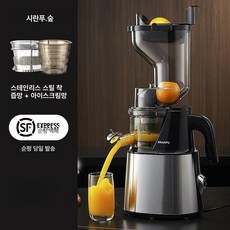 당근착즙기 생과일 녹즙기 기본 착즙기 원액 스퀴저 오렌지, 스텐+아이스크림 SF, + 아이스크림 필터