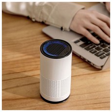 클린디 프레시 차량용 공기청정기(화이트)