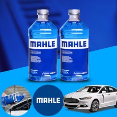 퓨전(~16) 말레 프리미엄 에탄올 워셔액 2L 청포도향 2개