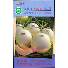 仙環洋香瓜種子 1370 HYBRID F1 中包裝 甜度高 結果力強, 1包
