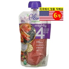 Plum Organics 12개월 이상 유아용 다양한 과일 곡물 혼합 퓨레 이유식 113g 6개