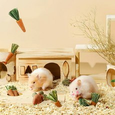 천연재료 햄스터 이갈이, 당근, 1개