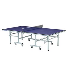 CHANSON 強生 標準規格 桌球桌 桌球檯 CS-6300 (18mm桌面厚度) 專業比賽標準, 1個