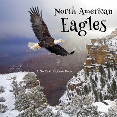 (영문도서) North American Eagles A No Text Picture Book: A Calming Gift for Alzheimer Patients and Seni... Paperback, Independently Published, English, 9798749430431