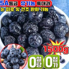 5A등급 건조 블루베리 100% 프리미엄 건조 블루베리 무설탕 특급 무설탕 반건조 블루베리 건조과일 유기농 말린 무가당 건블루베리 사은품 랜덤 증정, 6개, 250g