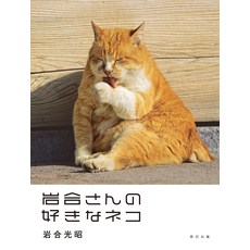이와이 히로아키 사진집 이와이 씨가 좋아하는 고양이