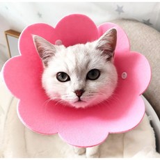 펫쉼 강아지 고양이 넥카라 반려동물 중성화 긁음방지, 펫 부직포 넥카라 핑크, 1개