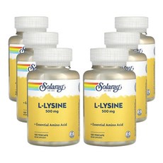 쏠라레이 L-라이신 500mg 베지캡슐 120정, 1캡슐, 6개
