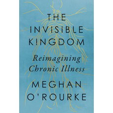 (영문도서) The Invisible Kingdom: Reimagining Chronic Illness Hardcover, Riverhead Books, English, 9781594633799