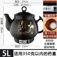 한약 전자동 끓이는 약탕기 제조기 주전자 기계 대용량 중탕기, H. 백년고삼 5L 백자
