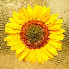 풍수아트 센스있는 개업 집들이 선물 황금 해바라기 그림 골드 연꽃 모란꽃 액자 거실 현관 인테리어, 5.골저스해바라기