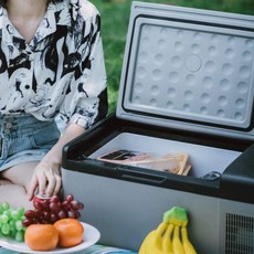 차량용 냉장고 차박 냉동고 화물차 캠핑 보냉 유선 휴대용 대용량 저소음 쿨러 야영 나들이, C75 가정 겸용 디지털 보호 커버 포함 12 V/24, 1L