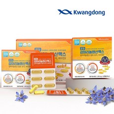 광동 감마리놀렌산맥스 120캡슐 2개월분 보라지종자유 혈중 콜레스테롤 혈행개선, 1g, 120개