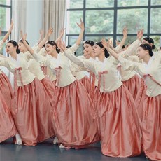 여자 개량한복 한국무용의상 연습용 갈래치마