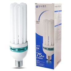장수램프 75W 220V E39 주광색 안정기내장 EL램프, 1