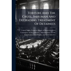 (영문도서)Torture And The Cruel Inhuman And Degrading Treatment Of Detainees Paperback, Hutson Street Press, English, 9781024277388