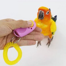 EP] 앵무새 주의집중 훈련 클릭커 장난갑, 색상럼덤1p, 1개