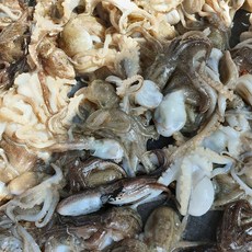 국내산 서해안 제철 생물 활 쭈꾸미 1kg, 1개, 쭈꾸미1k(급냉 15미내외)