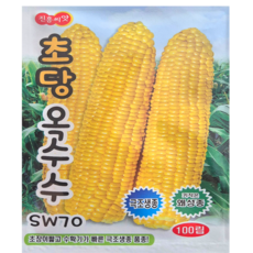초당옥수수씨앗 100립 조생종 키작은초당옥수수종자 품질계 생식용, 1개