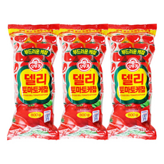 오뚜기 델리 토마토 케찹 800g 3개 케챂 소스