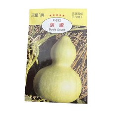 天星牌葫蘆種子，家庭園藝種植，易於栽培，觀賞食用皆宜, 1個