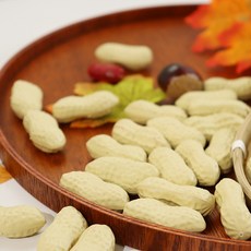 모형소품 땅콩, 백개입*1봉