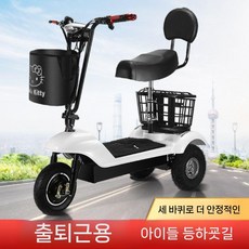3륜 전동 스쿠터 세발 삼륜 전기 자전거 어르신용 성인용, 리튬 배터리 2인승, 48V