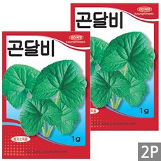 세인화분 국산 곤달비 1g - 곰취 씨 씨앗 채소 쌈채소 취나물, 2개
