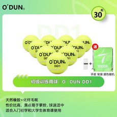 網球天龍Rising DD1 訓練用球, 1個, 歐頓DD1網球【30個】送2手膠+1背袋