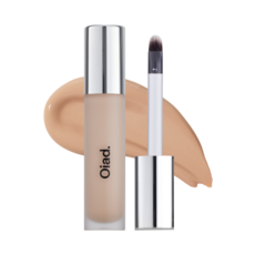 오아드 커버 퍼펙팅 미러브러쉬드 컨실러 7COLOR, 1개, 커버 퍼펙팅 미러브러쉬드 컨실러 22누드