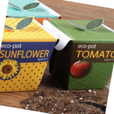 홈가드닝 미니화분 씨앗 흙 세트, 1개, 허브바질